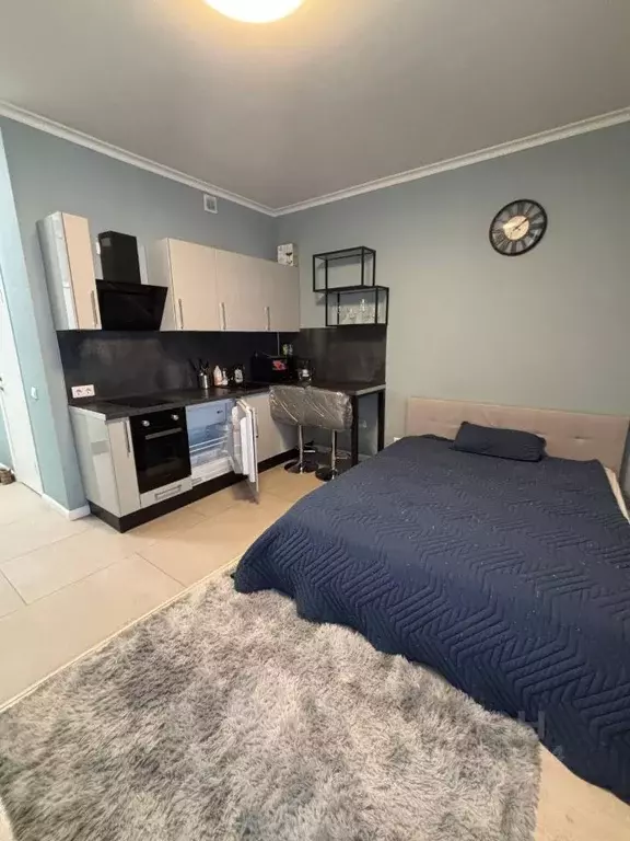 Студия Московская область, Красногорск ул. Липовой Рощи, 4к3 (26.9 м) - Фото 2