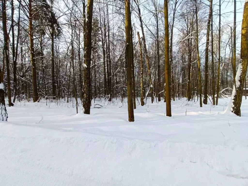 Участок в Московская область, Ленинский городской округ, д. Спасские ... - Фото 2
