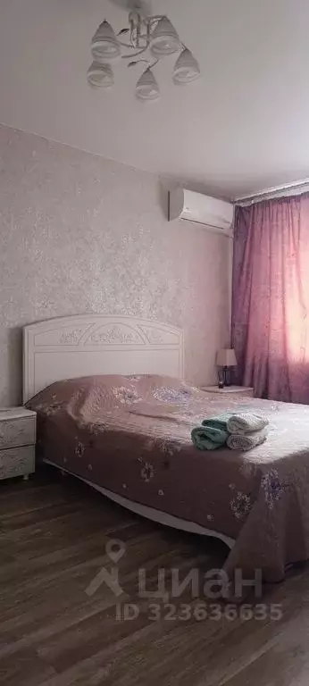 1-к кв. Нижегородская область, Бор ул. Фрунзе, 93 (32.0 м) - Фото 1