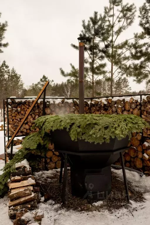 Дом в Красноярский край, Емельяновский муниципальный округ, Тальский ... - Фото 2