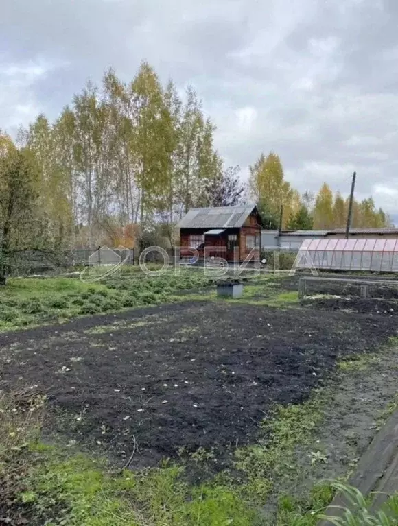 Дом в Тюменская область, Тюменский муниципальный округ, Красная Горка ... - Фото 2