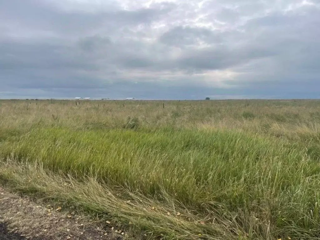 Участок в Башкортостан, Кармаскалинский район, с. Шаймуратово  (10.0 ... - Фото 1