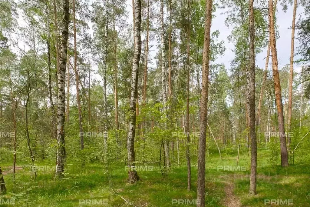 Участок в Московская область, Одинцовский городской округ, пос. дома ... - Фото 0