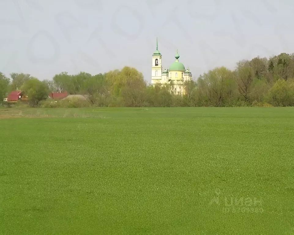Участок в Тверская область, Калининский муниципальный округ, с. ... - Фото 1