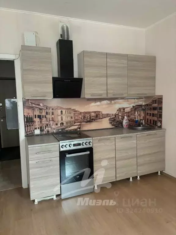 Студия Московская область, Ленинский городской округ, Мисайлово пгт ... - Фото 2