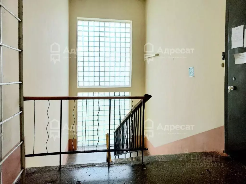 Помещение свободного назначения в Волгоградская область, Волгоград ул. ... - Фото 1
