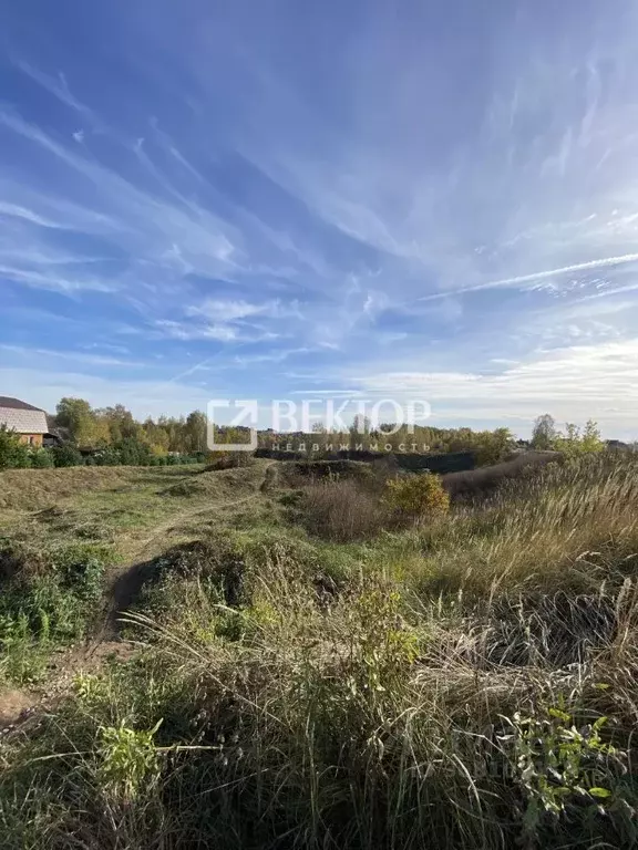 Участок в Ярославская область, Ярославский район, Кузнечихинское ... - Фото 1