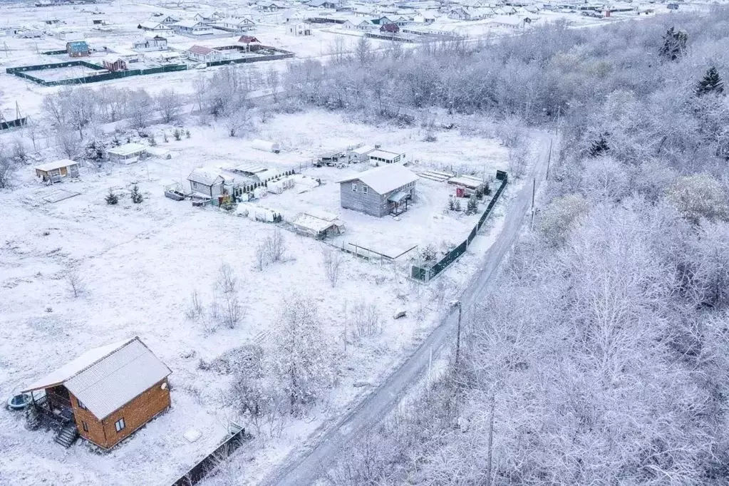 Участок в Ленинградская область, Ломоносовский район, Лопухинское ... - Фото 1
