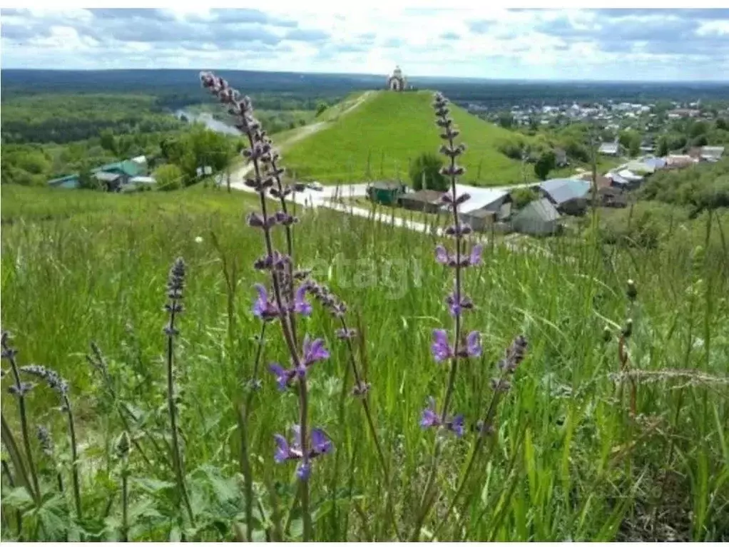 Участок в Ульяновская область, Чердаклинский район, ... - Фото 1