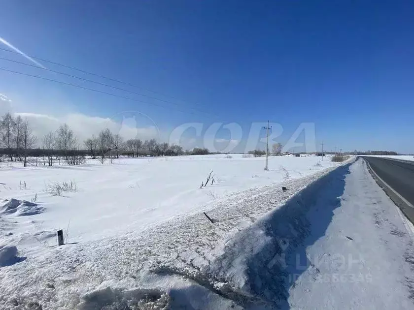 Участок в Тюменская область, Тюменский район, с. Мальково  (320.0 ... - Фото 1