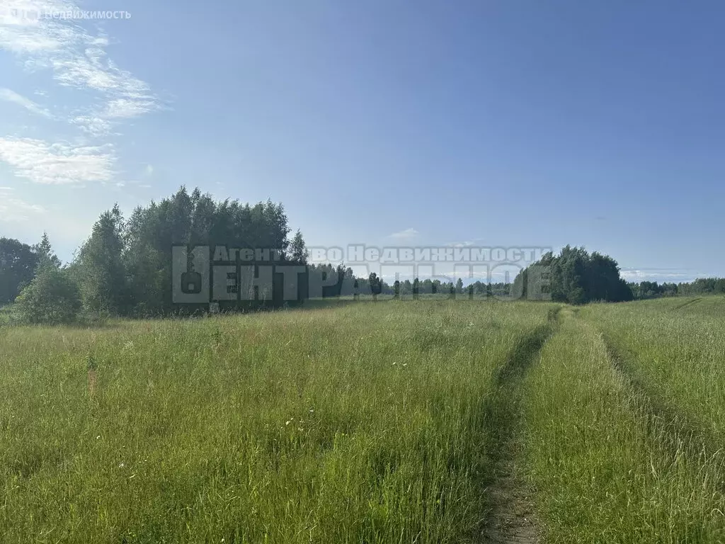 Участок в Смоленский муниципальный округ, деревня Круглики (5.2 м) - Фото 0