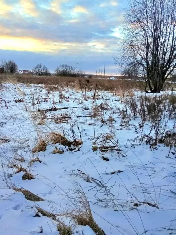 Участок в Московская область, Сергиево-Посадский городской округ, с. ... - Фото 0