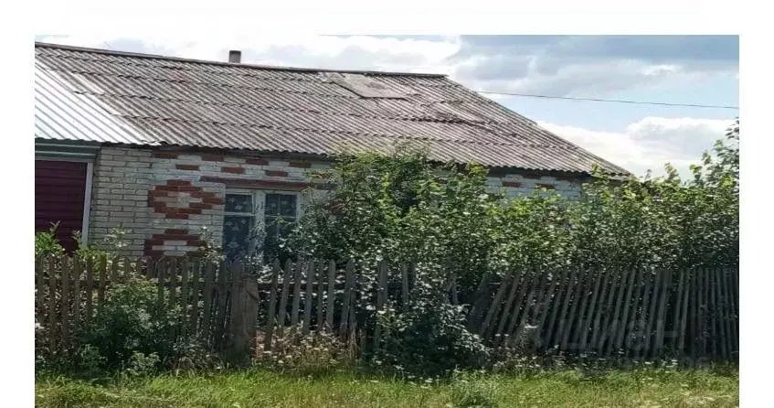Помещение свободного назначения в Курганская область, Куртамышский ... - Фото 1