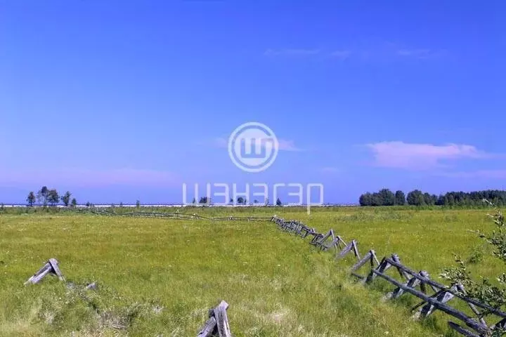 Участок в Бурятия, Кабанский район, с. Сухая Байкальская ул. (600.0 ... - Фото 1