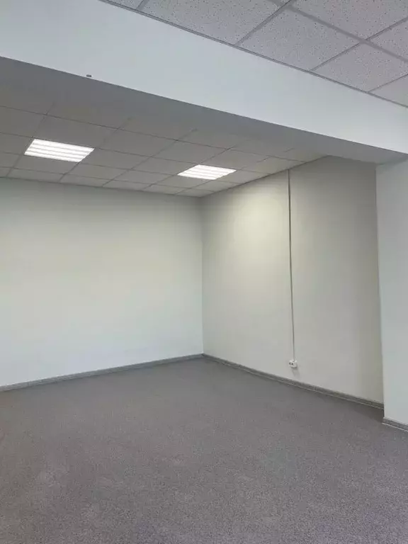 Помещение свободного назначения в Свердловская область, Екатеринбург ... - Фото 1