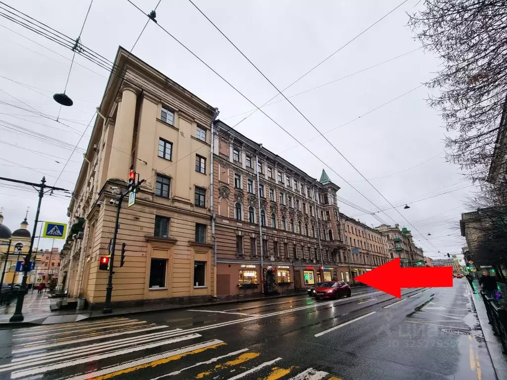 Помещение свободного назначения в Санкт-Петербург Суворовский просп., ... - Фото 1