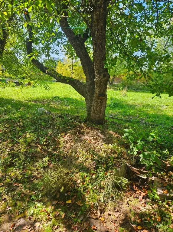 Участок в Калужская область, с. Совхоз Боровский  (9.6 сот.) - Фото 1