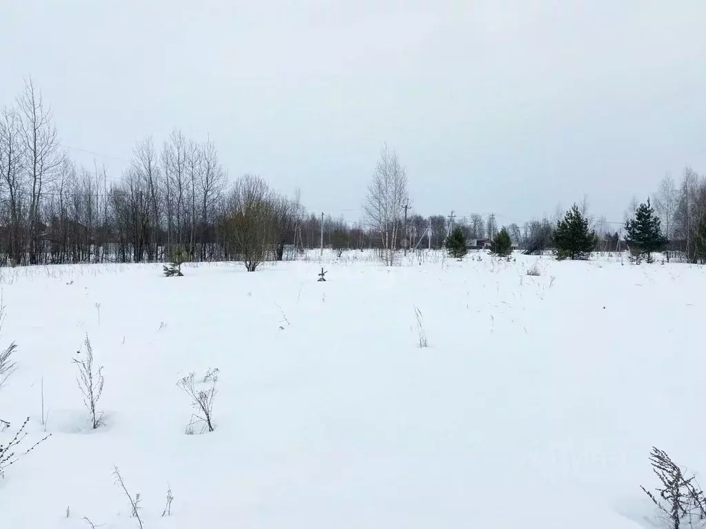 Участок в Владимирская область, Муромский район, с. Ковардицы  (5.0 ... - Фото 0