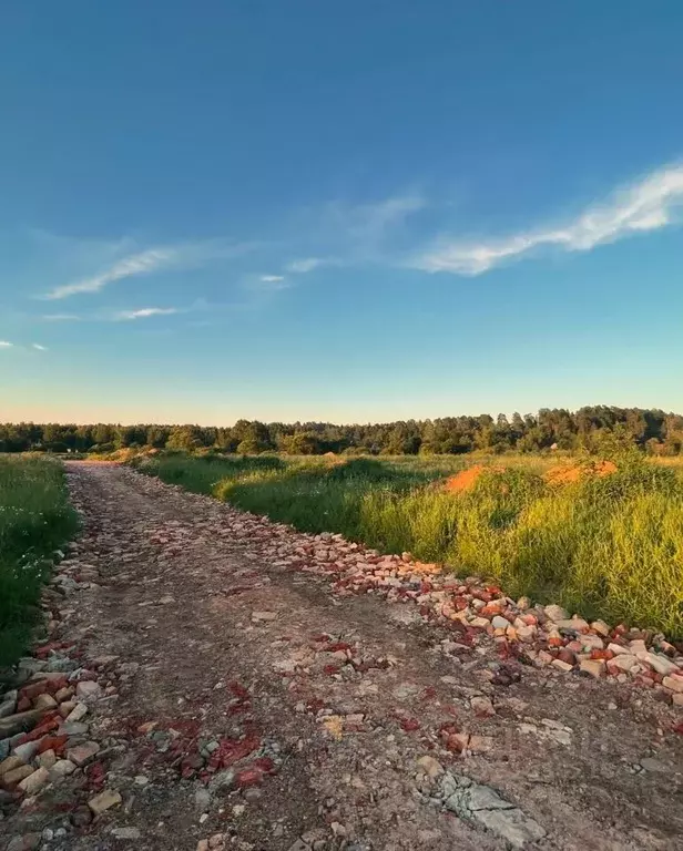 Участок в Московская область, Щелково городской округ, д. Каблуково ... - Фото 0