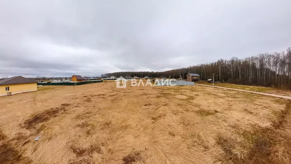 Участок в Владимирская область, Собинский муниципальный округ, с. ... - Фото 1