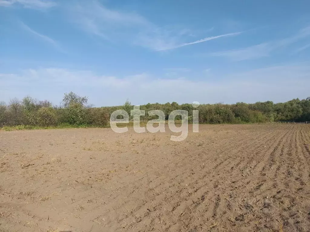 Участок в Свердловская область, Тугулымский муниципальный округ, д. ... - Фото 1