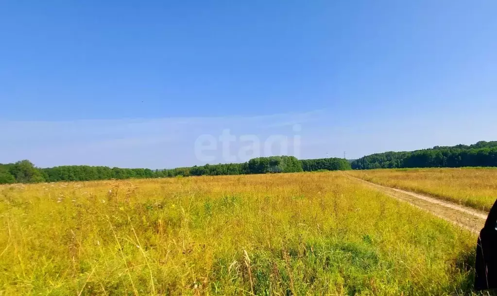 Участок в Пермский край, Пермский район, д. Верх-Речки  (20.0 сот.) - Фото 2