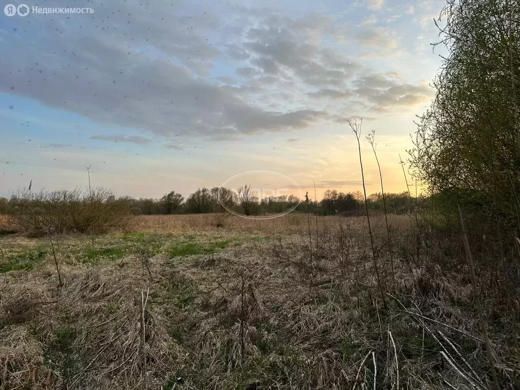 Участок в Калининград, ДНТ Золотой Петушок (4.25 м) - Фото 1