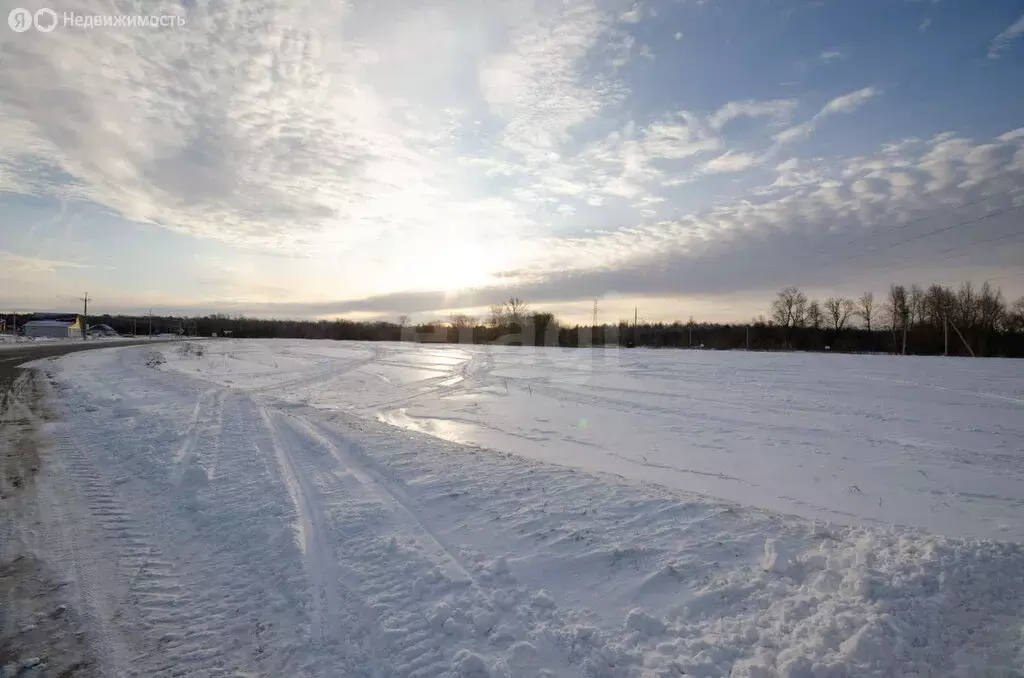 Участок в Заводоуковск, улица Гилёвская Роща (8.33 м) - Фото 2
