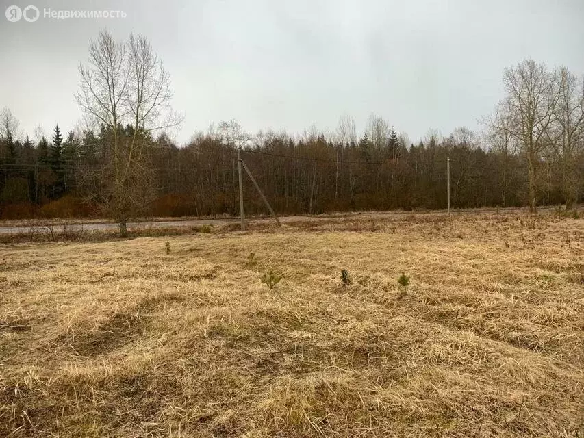 Участок в Волосовский район, Сабское сельское поселение, деревня ... - Фото 1