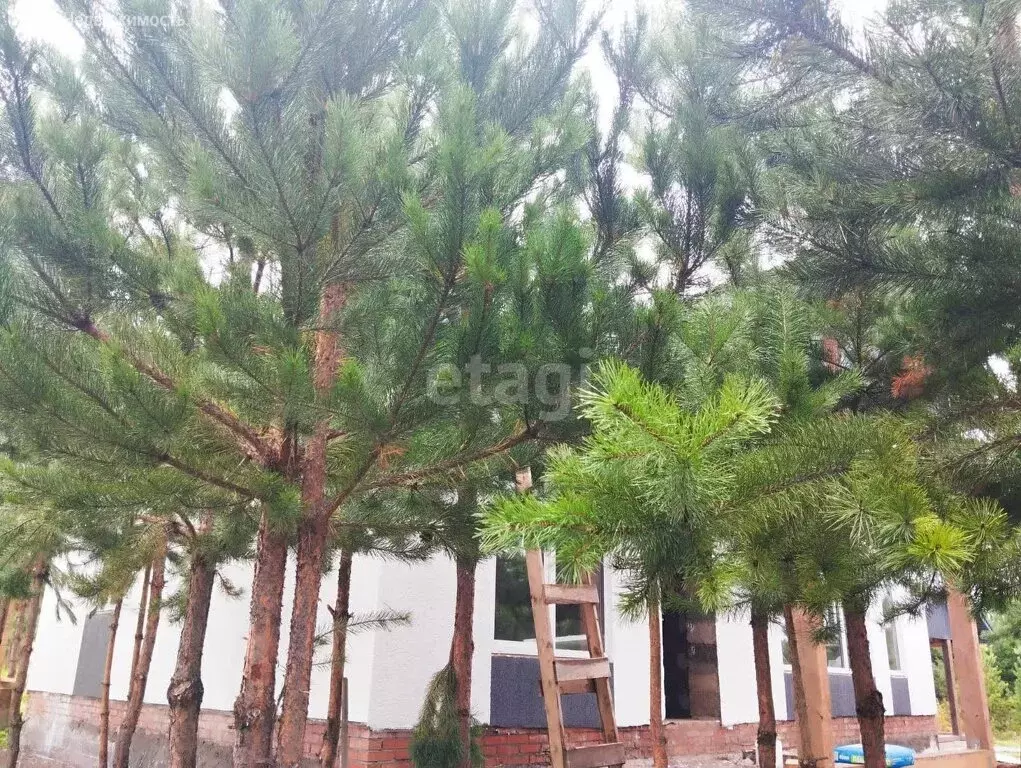 Дом в Республика Башкортостан, Благовещенск (120 м) - Фото 2