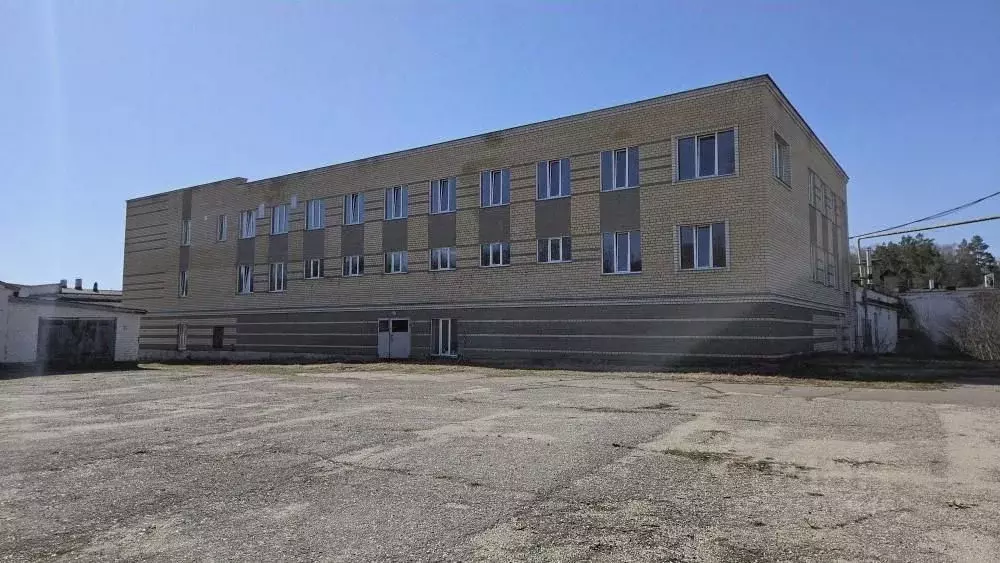 Производственное помещение в Нижегородская область, Дивеевский ... - Фото 1