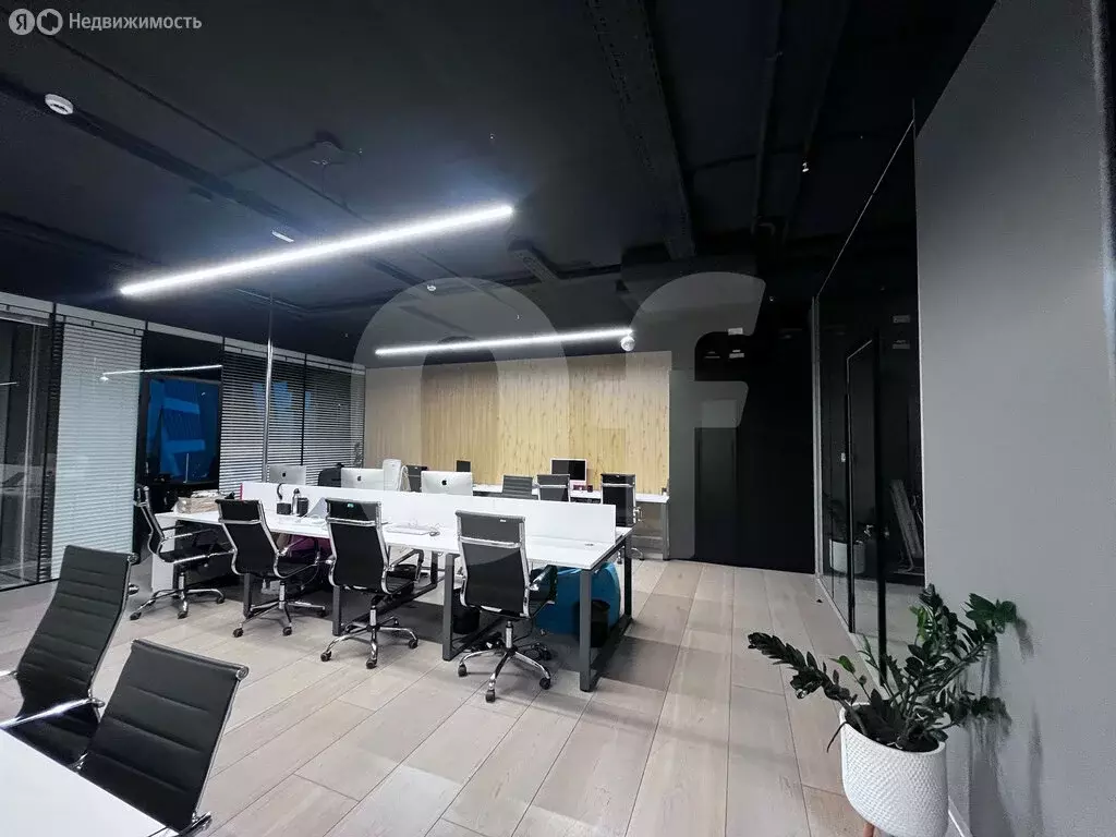 Офис (447 м) - Фото 2