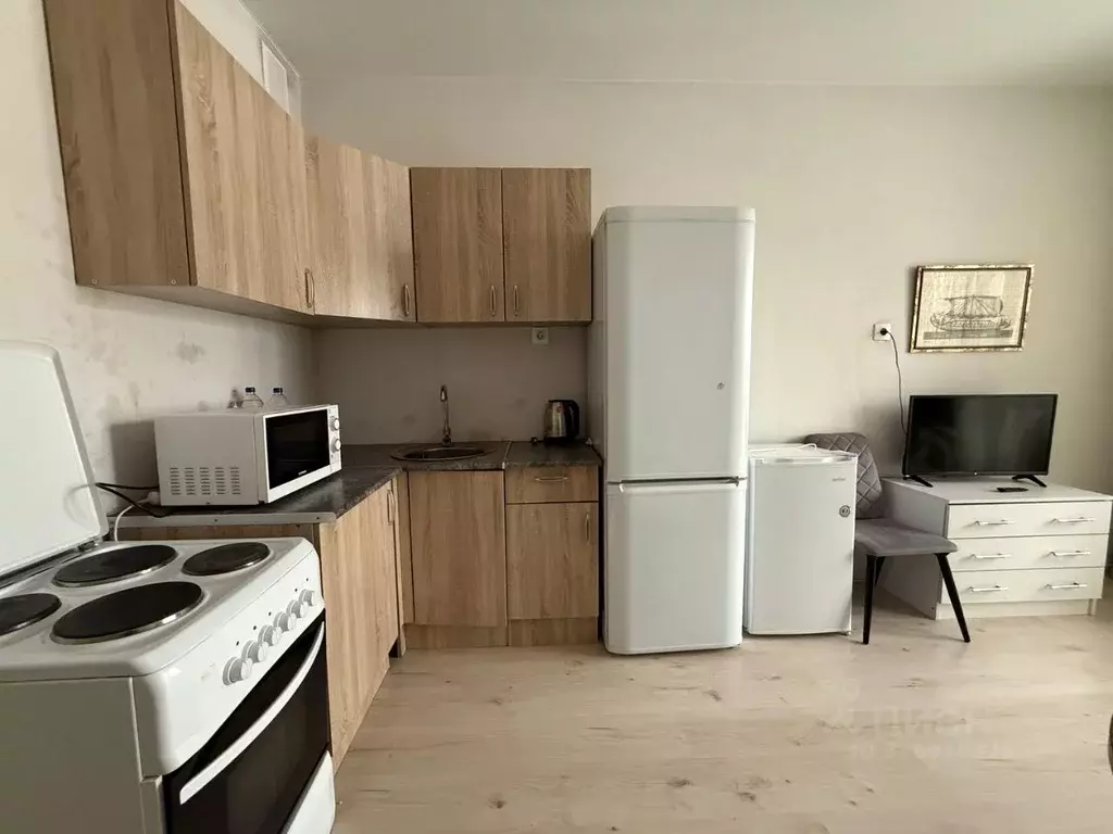 Студия Московская область, Балашиха ш. Косинское, 6 (23.0 м) - Фото 1