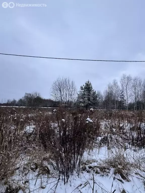 Участок в Нижегородская область, Городецкий муниципальный округ, ... - Фото 1