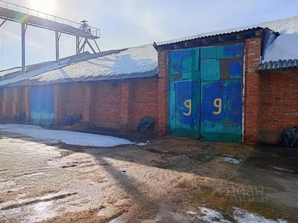 Помещение свободного назначения в Татарстан, Агрыз Азиатская ул., 43 ... - Фото 2
