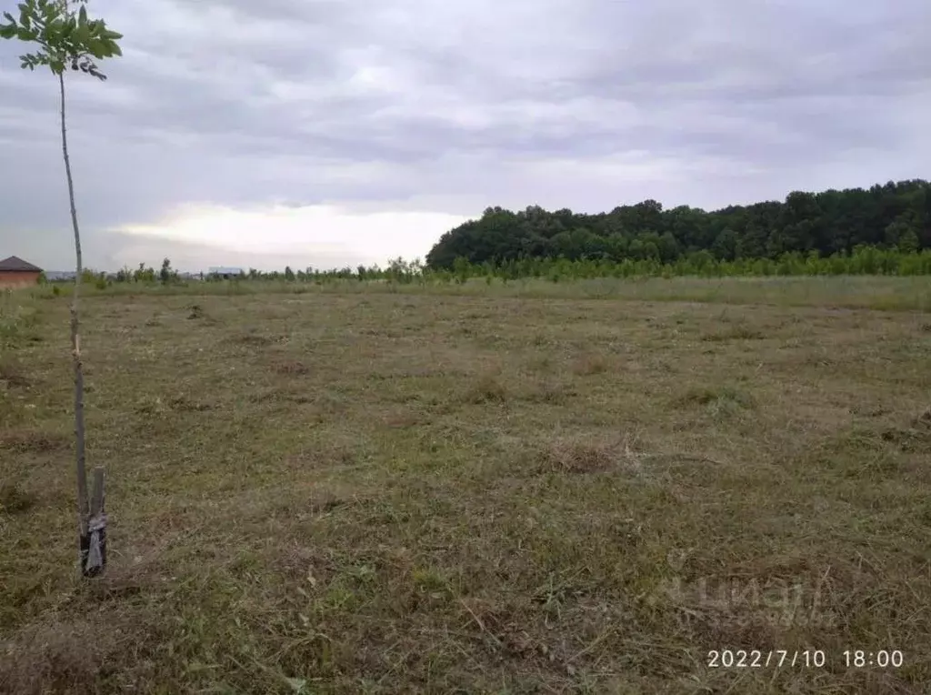 Участок в Белгородская область, Белгород ул. Виктора Лосева, 15 (15.0 ... - Фото 2