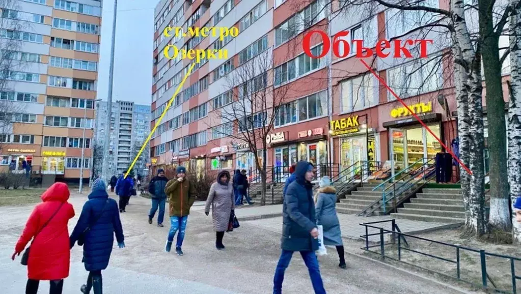 Помещение свободного назначения в Санкт-Петербург ул. Сикейроса, 6К1 ... - Фото 2