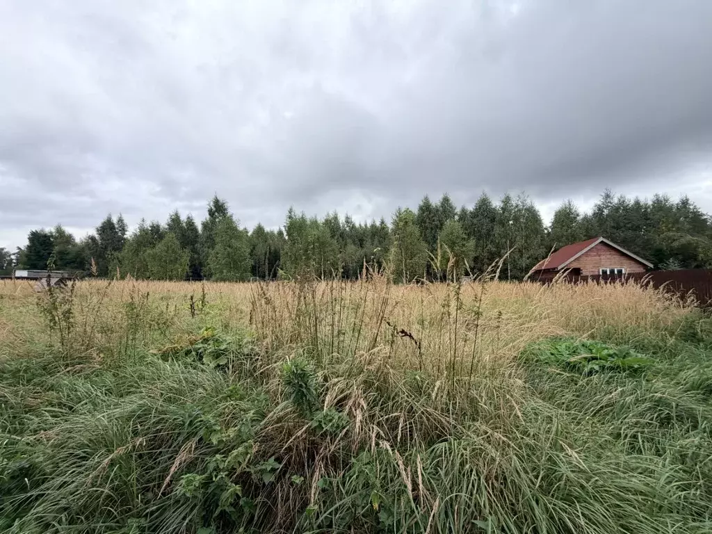 Участок в Московская область, Солнечногорск городской округ, Дом на ... - Фото 1
