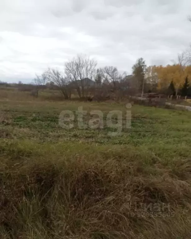 Участок в Липецкая область, Задонский муниципальный округ, с. Бутырки ... - Фото 2