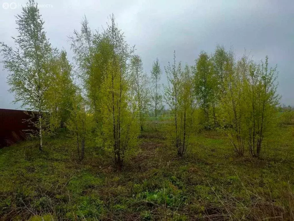 Участок в Новгородский район, Бронницкое сельское поселение, село ... - Фото 0