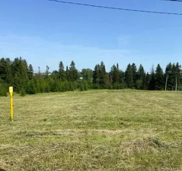 Участок в Удмуртия, Завьяловский район, д. Каменное, Зеленодолье кп ... - Фото 1