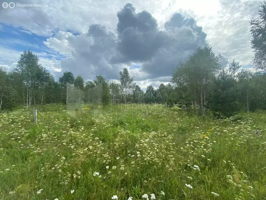 Участок в Тюменская область, Нижнетавдинский муниципальный округ, ... - Фото 2
