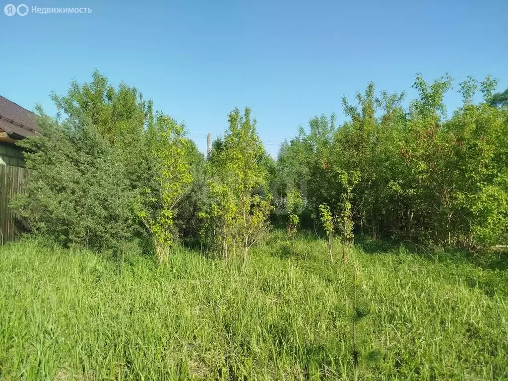Участок в посёлок городского типа Ветлужский, Советская улица (12 м) - Фото 0