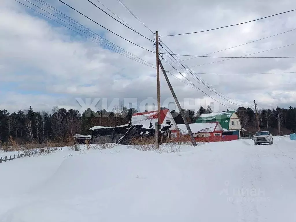Участок в Томская область, Шегарское с/пос, с. Мельниково пер. Таежный ... - Фото 1