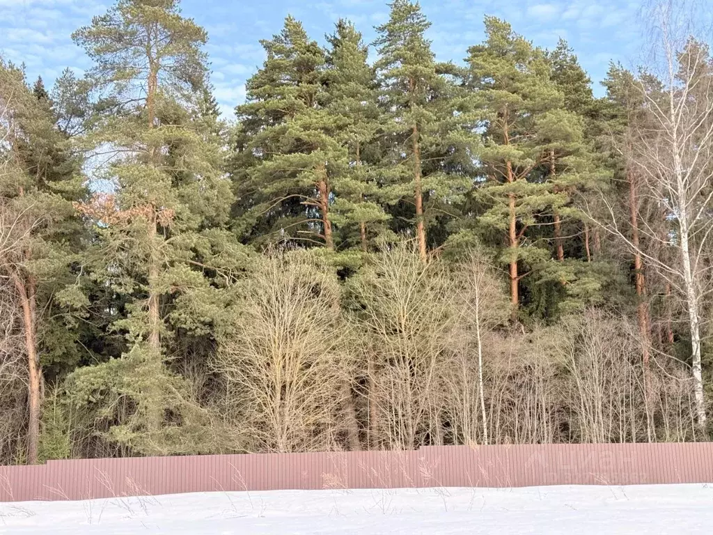 Участок в Московская область, Солнечногорск городской округ, Бережки ... - Фото 1