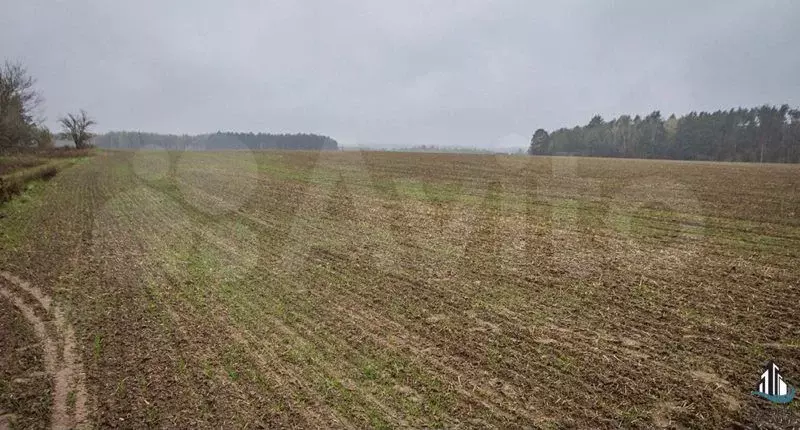 Участок 5,99 га (СНТ, ДНП) - Фото 0