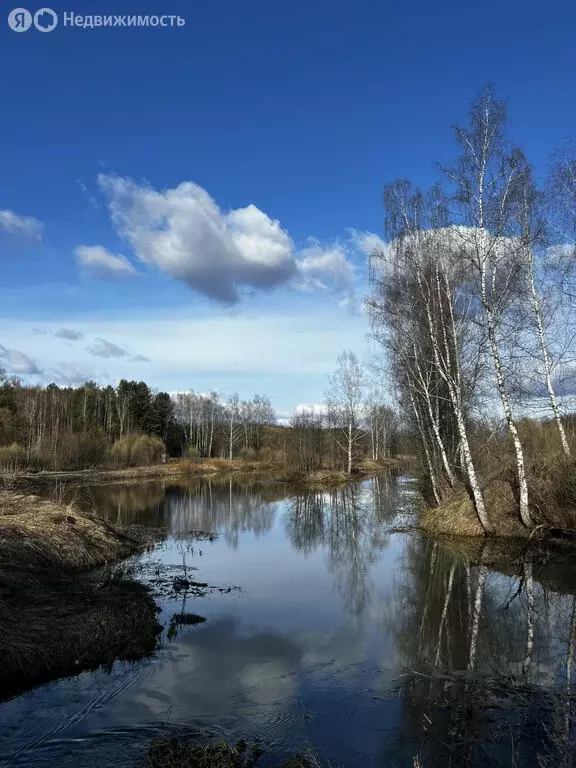Участок в Калужская область, Малоярославецкий муниципальный округ, ... - Фото 1