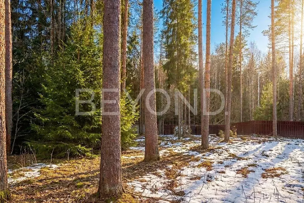 Участок, 20.5 сот., сельхоз (снт или днп) - Фото 1