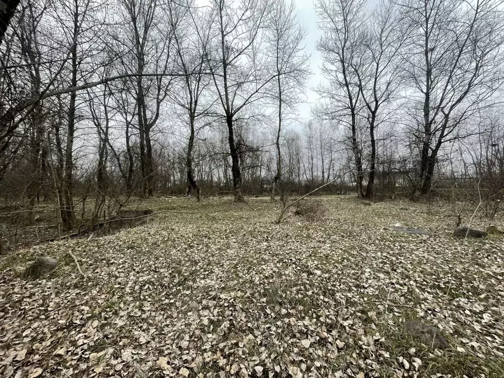 Участок в Кабардино-Балкария, Чегемский район, с. Шалушка Чегемский ... - Фото 1