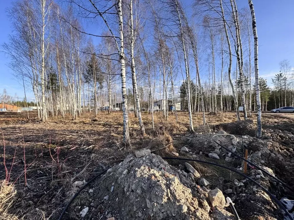 Участок в Московская область, Солнечногорск городской округ, Ржавки ... - Фото 0